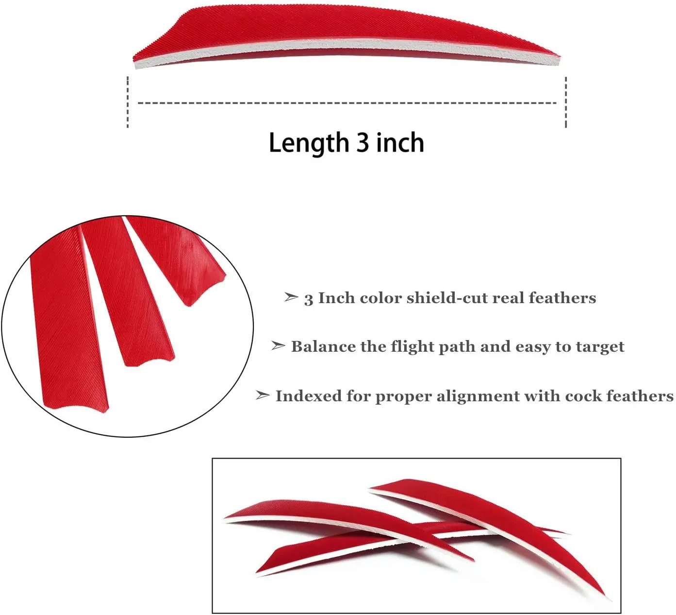 Arrows 3 Inch Real Feathers Fletching with Shield Cut for DIY Hunting Shooting Shafts (36 Pack)
