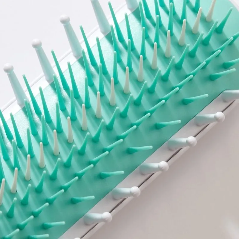 Hair Detangler Brush