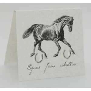 Horseshoe Earrings in Sterling Silver