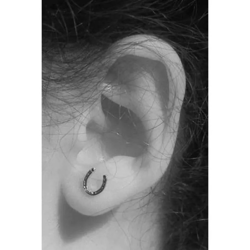 Horseshoe Earrings in Sterling Silver