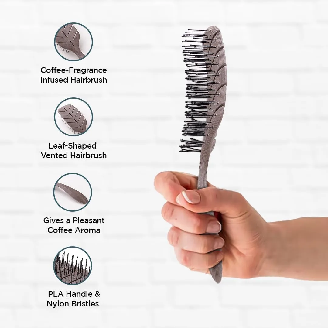 Kuber Industries Hair Brush | Detangler Hair Brush | Leaf Flexible Bristles | Hair Brush with Paddle | Quick Drying Hair Brush | Suitable For All Hair Types | 3 Piece | HSBIOCFE | Coffee