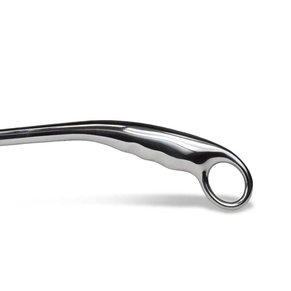 Solid Metal Long Handled Shoe Horn