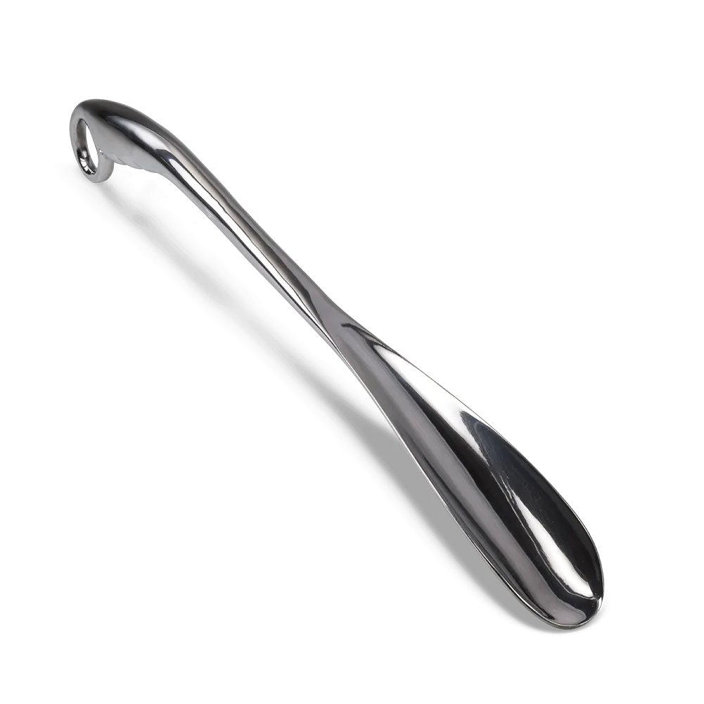 Solid Metal Long Handled Shoe Horn